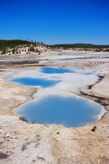 The Norris Geyser Basin in Yellowstone National Park USA