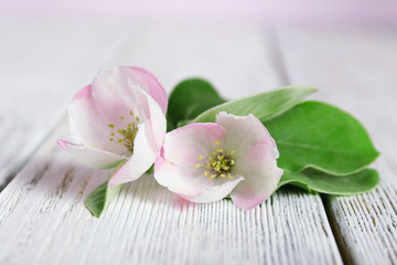 Fototapeta na wymiar Apple blossom with leaves on wooden table