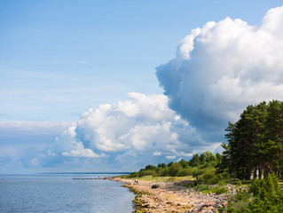 Beautiful Baltic  beach