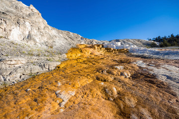 Mound Terrace , Mammoth Hot Springs area in Yellowstone National Park,USA