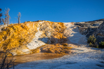 Mound Terrace , Mammoth Hot Springs area in Yellowstone National Park,USA