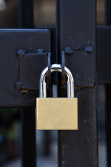 Closeup brass padlock on a black metal gate.