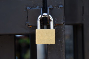 Closeup brass padlock on a black metal gate.