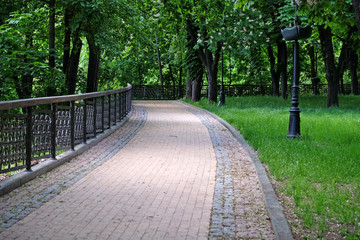 Green city park alley