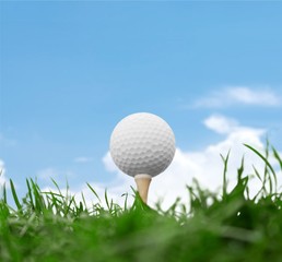 Golf, Golf Ball, Golf Course.