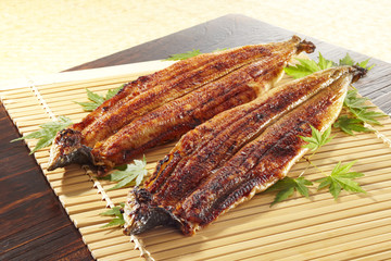 うなぎの蒲焼き