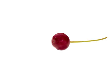 red cherry