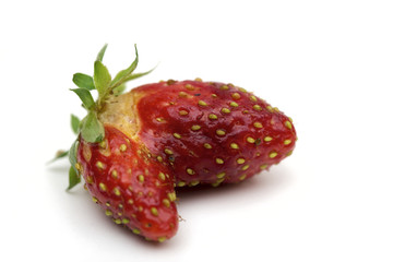 strawberries on the white background