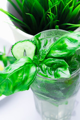 Fresh mojito cocktail