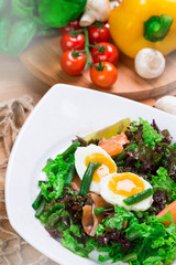 Fresh green salad with salmon and eggs