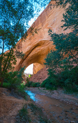 Jacob Hamblin Arch