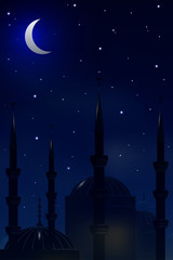 Mosque on the background of night sky.Vector