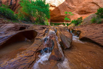 Beautiful Cascade in Coyote Gulch