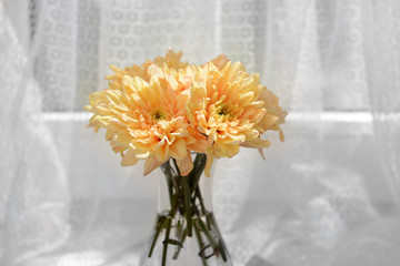Beautiful chrysanthemums in vase on fabric background