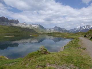 Fototapeta na wymiar Summer in Swiss Mountains