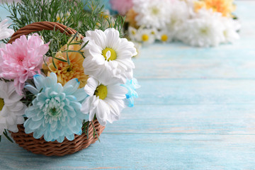 Colorful chrysanthemum in basket on wooden background