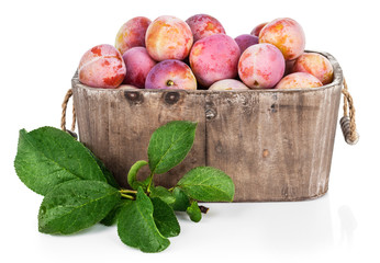 Fresh plums in wooden basket with green leaves. Isolated on
