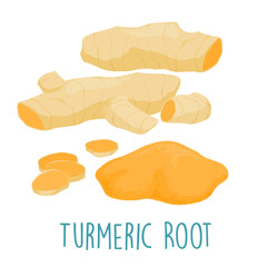 fresh turmeric root on white background vector