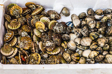 Fresh seafood  in fish market