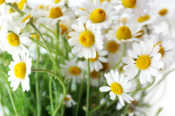 Obraz na płótnie Canvas Beautiful bouquet of daisies close up