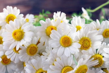 Fototapeta na wymiar Beautiful bouquet of daisies close up