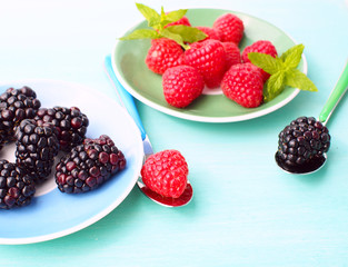 Blackberries and raspberries on plates on green pastel wooden background