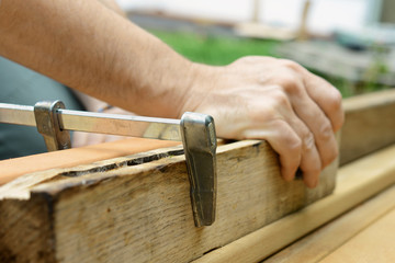Schreiner oder Handwerker fixiert Holzbalken mit Schraubzwinge