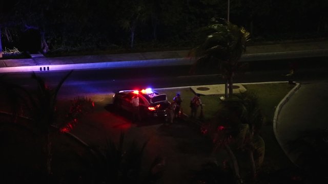 Police car lights flashing at night downtown 
