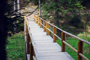 wooden bridge fenced by a fence in a pine forest