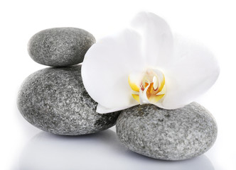 Fototapeta na wymiar Stack of spa stones with orchid flower isolated on white
