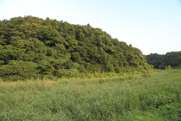 Valley in Satoyama where green is wanton.