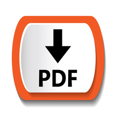 Vector icon labeled PDF