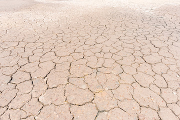 Drought land