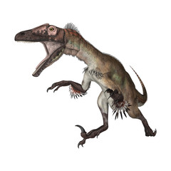 Fototapeta premium Dinosaur Utahraptor