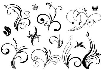 Floral vector elements