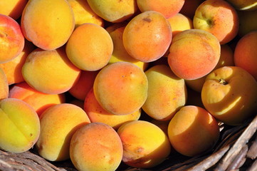 apricots