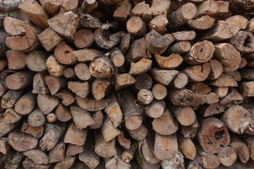 Pile of wood for use as firewood for cooking fuel.