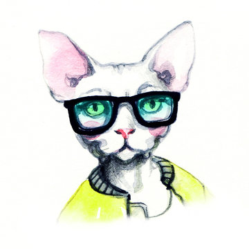 fashion animal .watercolor illustration