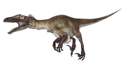 Dinosaur Utahraptor