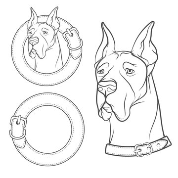 Set of vector drawing of the dog in the collar. Isolated objects on a white background. 