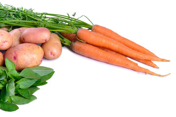 vegetables isolated on white