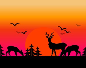 Fototapeta na wymiar Sunset deer