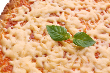 Cheese pizza with basil close up