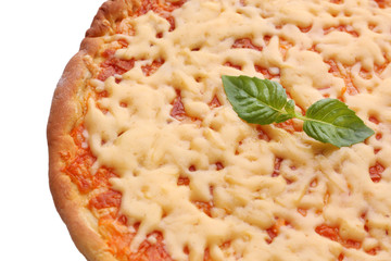 Cheese pizza with basil close up