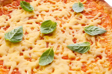 Cheese pizza with basil close up