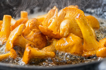 Yellow Chanterelles fried in a skillet