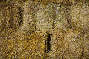 hay as background