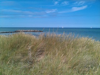 Strand Probstei Kalifornien