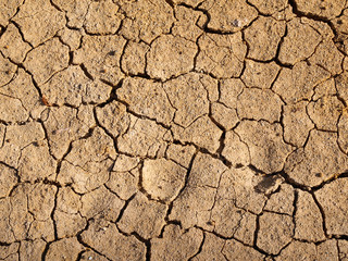 Drought