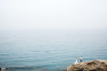 beautiful  gorgeous blonde bride  and stylish groom
